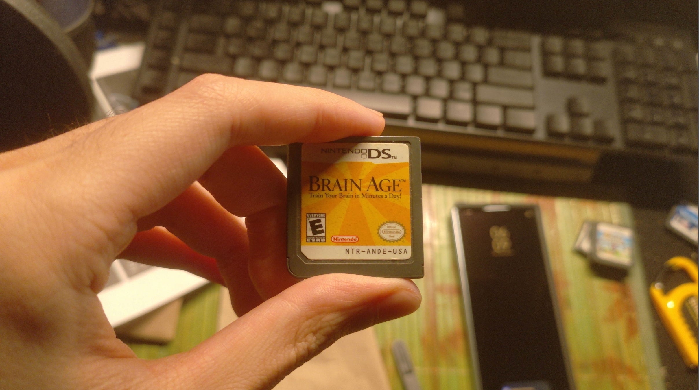 Brain Age (Nintendo DS, 2006)